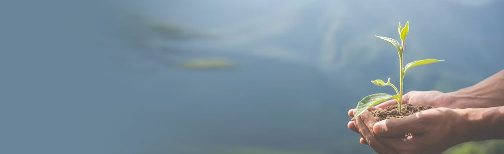 AG尊时凯龙人生就博人