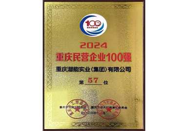 重庆民营企业100强